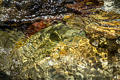 20150502115122 90335