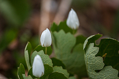 20150501181655 90027
