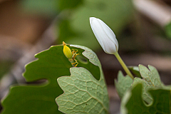 20150501181657 90028