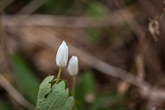 20150501181704 90032