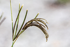 20160814103200 017103