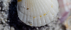 20160811103642 016778
