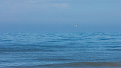 20160811104322 016857
