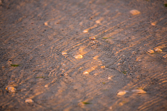 20160815195455 106922