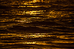 20160815195659 106928