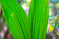 C05 20160111114308 104531