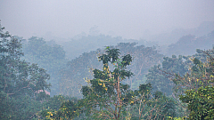 C11 20160114072543 104701