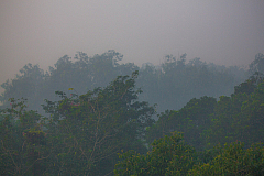 C15 20160114072702 104723