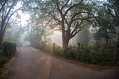 C32 20160114075139 012524