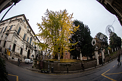 20161118103338 010261