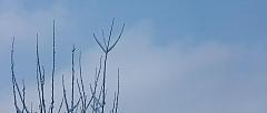 20160309084304 016958