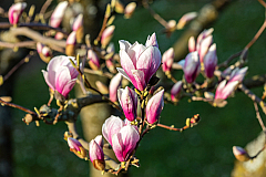 20160404071817 018436