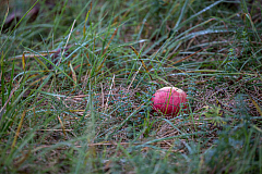 20161010090647 109588