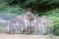 20160805110830 012499