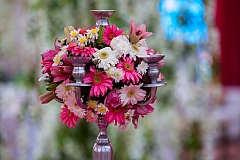 Anika's and Rajat's Wedding