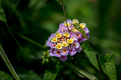 20170606135145 017530
