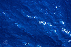 20170614130358 108076