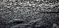 20170105102657 016578