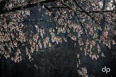 20170105104312 016633