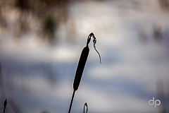 20170105105955 016716