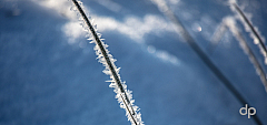 20170121101608 016928