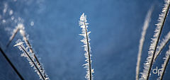 20170121101626 016933