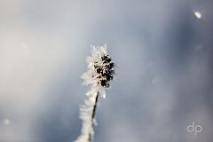 20170121102326 105809