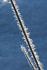 20170121102642 105831