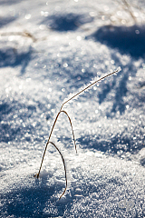 20170121103445 105943