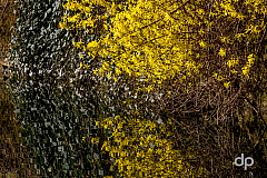 20170330130014 102894