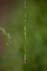 20170526083147 107113
