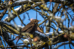 20171209104724 7094