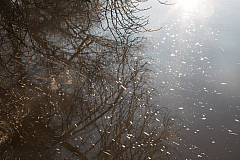 20181226145354 7283