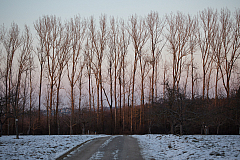 20180224174326 9550