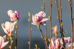 20180412072317 0554