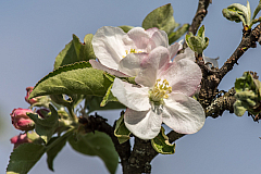 20180422094333 2416