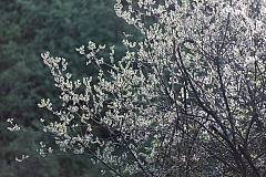 20180426075042 2617