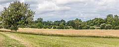 20180625082624 pano