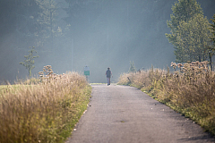 20180724073424 5221