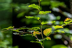 20180909125446 8199-2