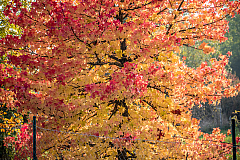 20181020151911 0458
