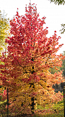 20181020151912 pano