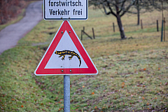 20181227155754 7444