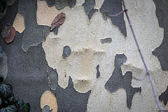 20180105095211 7545