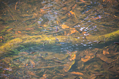 20180329152310 9269