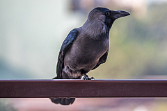20180220091441 9066