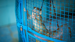 20180130100841 1724