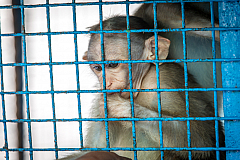 20180130101153 1770