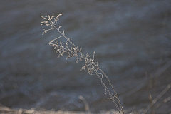 20190227081607 0019