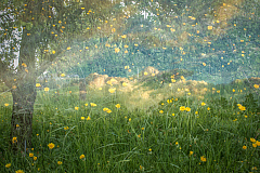 20190428191310 1601